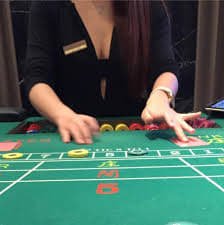 vip55